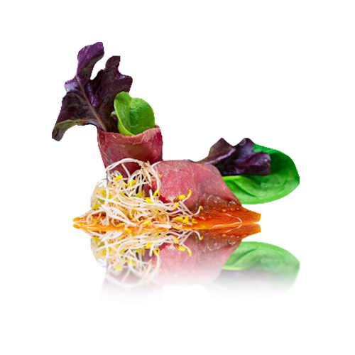 Beef Carpaccio Salad